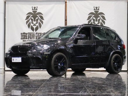 宝马X5 M 2010款 X5 M