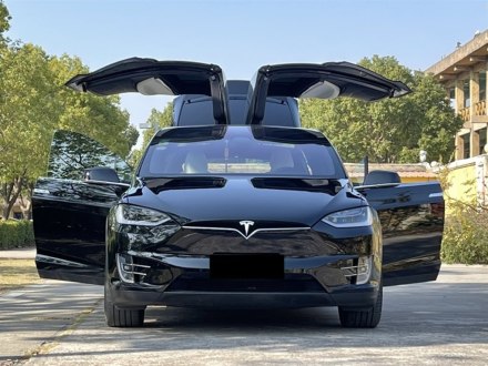 Model X 2017款 Model X 100D 长续航版