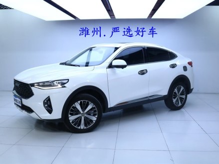 哈弗F7x 2019款 2.0T 两驱极智潮玩版