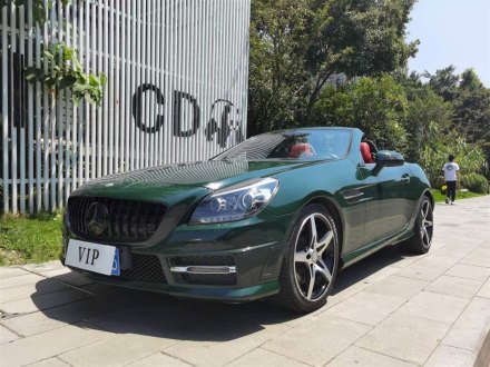 奔驰SLK级 2011款 SLK 200 豪华运动型