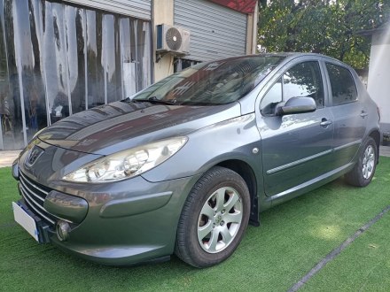 标致307 2010款 两厢 1.6L 自动豪华版