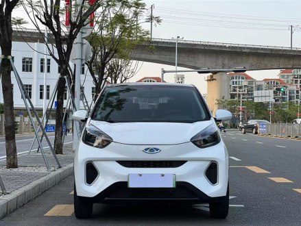 小蚂蚁 2019款 4座智享版 35kWh
