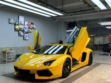 Aventador 2011款 LP 700-4