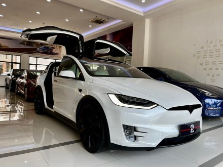 Model X 2020款 长续航升级版
