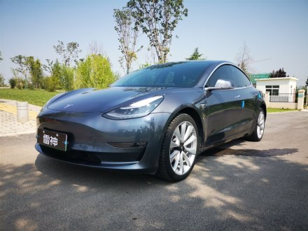 Model 3(进口) 2019款 长续航后驱版