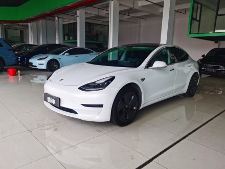 Model 3进口 2019款 标准续航后驱升级版