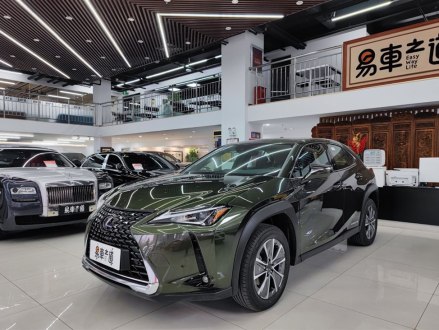 雷克萨斯UX新能源 2020款 300e 纯·享版