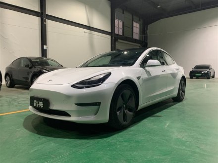 Model 3进口 2019款 长续航全轮驱动版