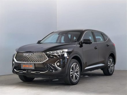 哈弗F7 2021款 2.0T 两驱i动