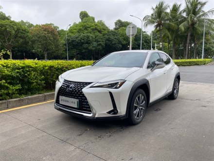 雷克萨斯UX新能源 2020款 300e 纯·享版
