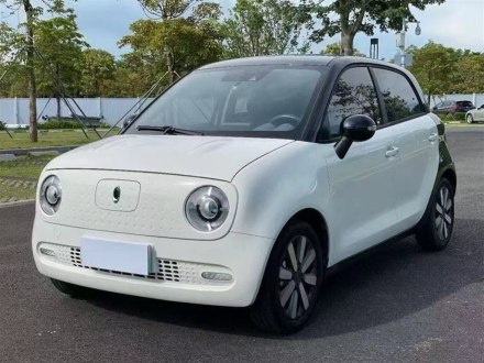 欧拉黑猫 2021款 301km 基础型