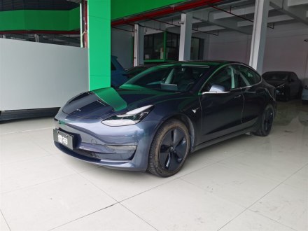 Model 3进口 2019款 长续航后驱版