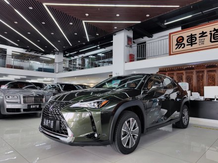 雷克萨斯UX新能源 2020款 300e 纯·享版