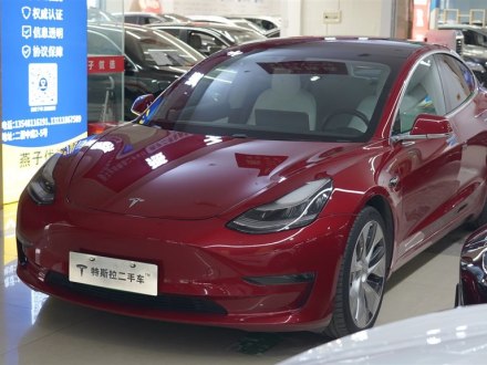 Model 3(进口) 2019款 Performance高性能全轮驱动版