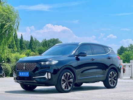魏牌 VV6 2020款 2.0T 两驱智享+