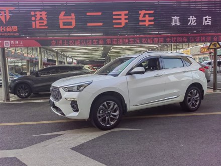 哈弗H6 Coupe 2019款 1.5T 自动两驱超豪智联版 国V