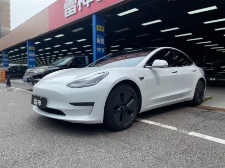 Model 3进口 2019款 长续航后驱版