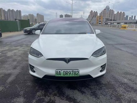 Model X 2017款 Model X 100D 长续航版
