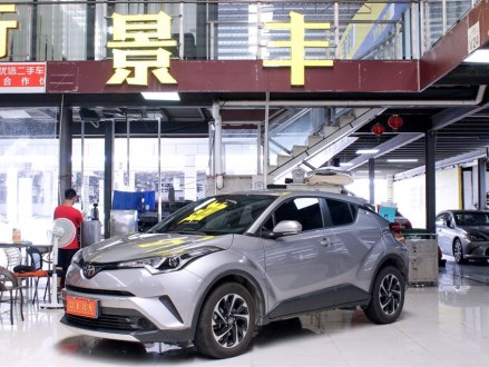 奕泽IZOA 2020款 2.0L 奕驰版