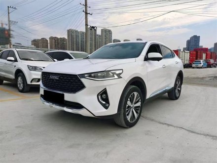 哈弗F7x 2019款 1.5T 两驱极智潮玩版