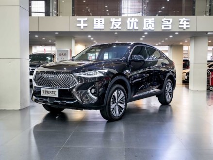 哈弗F7x 2021款 1.5T 两驱极智潮玩版lite