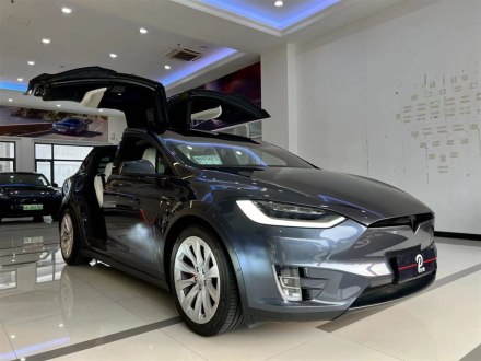 Model X 2020款 Performance 高性能版