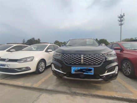 魏牌 VV6 2021款 2.0T 两驱智行+