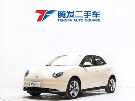 欧拉好猫 2022款 莫兰迪版 400km标准续航 豪华型 磷酸铁锂