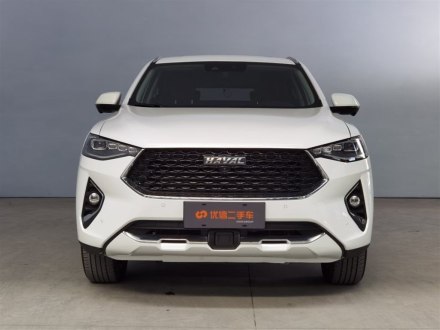 哈弗F7x 2019款 2.0T 两驱极智科技版