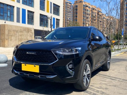 哈弗F7x 2019款 2.0T 两驱极智潮玩版