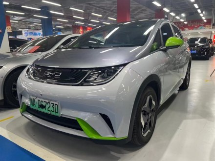 海豚 2021款 405km 时尚版