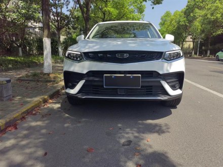 星越 2020款 高能版 300T 耀星者