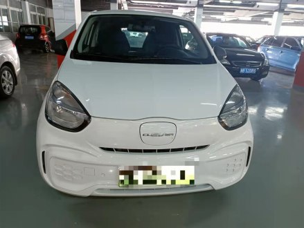 科莱威CLEVER 2021款 302km全能版