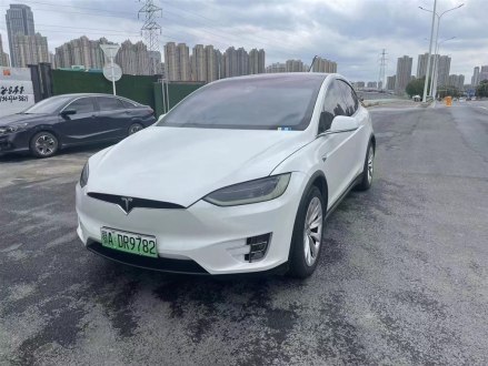 Model X 2017款 Model X 100D 长续航版