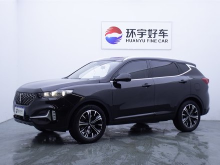 魏牌 VV6 2021款 2.0T 两驱智护+