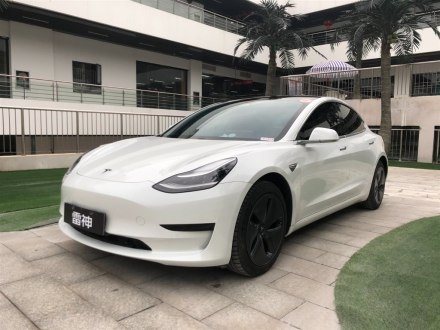 Model 3进口 2019款 标准续航后驱升级版