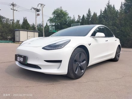 Model 3进口 2019款 标准续航后驱升级版