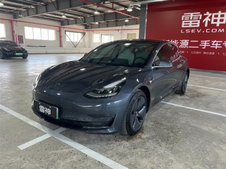 Model 3进口 2019款 长续航后驱版