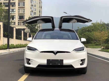 Model X 2017款 Model X 100D 长续航版