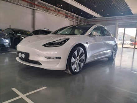 Model 3进口 2019款 Performance高性能全轮驱动版
