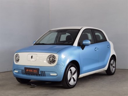 欧拉黑猫 2021款 301km 基础型