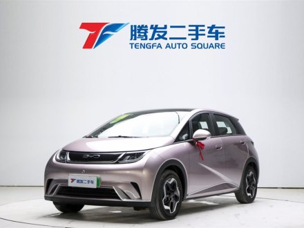 海豚 2021款 405km 时尚版