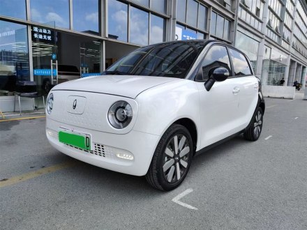 欧拉黑猫 2021款 351km 公务版
