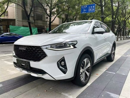 哈弗F7x 2019款 1.5T 两驱极智潮玩版