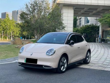 欧拉好猫 2021款 400km标准续航 维纳斯版 磷酸铁锂