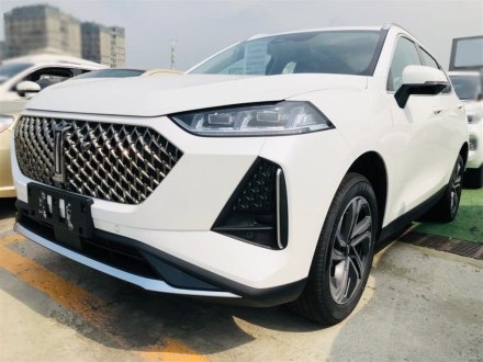 玛奇朵DHT 2021款 1.5L DHT特调版