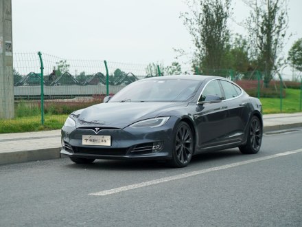 Model S 2020款 长续航升级版