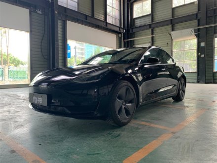 Model 3进口 2019款 标准续航后驱升级版