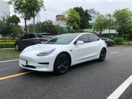 Model 3进口 2019款 标准续航后驱升级版