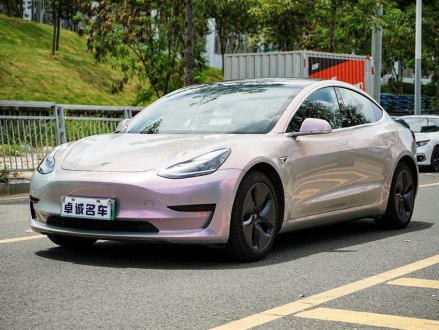 Model 3(进口) 2019款 标准续航后驱升级版